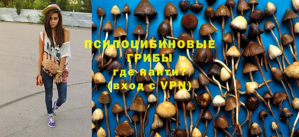 мдпв Горно-Алтайск