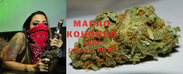 гидропоника Горняк