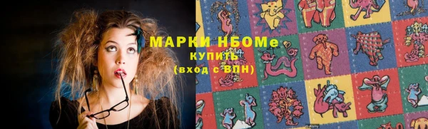 мдпв Горно-Алтайск