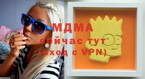 гидропоника Горняк