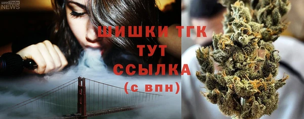 гидропоника Горняк