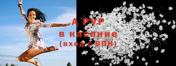 мдпв Горно-Алтайск