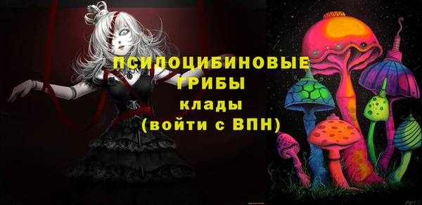 мдпв Горно-Алтайск