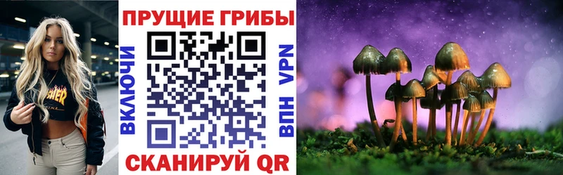 Галлюциногенные грибы прущие грибы что такое наркотик Щёлково